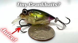 These Tiny Crankbaits Catch Big B Try Them