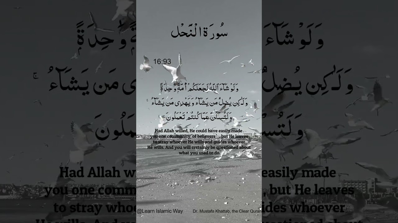 Surah Al-Nahl Ayat No 16 : 93 94 Arabic | سورۃ النحل With English Translation  #quran #allah #yts
