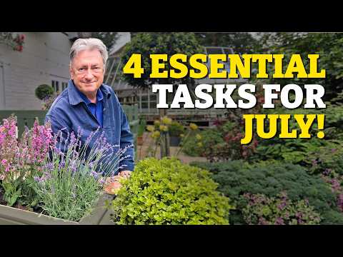 Don't Waste July... Critical Garden Jobs to Do Now!