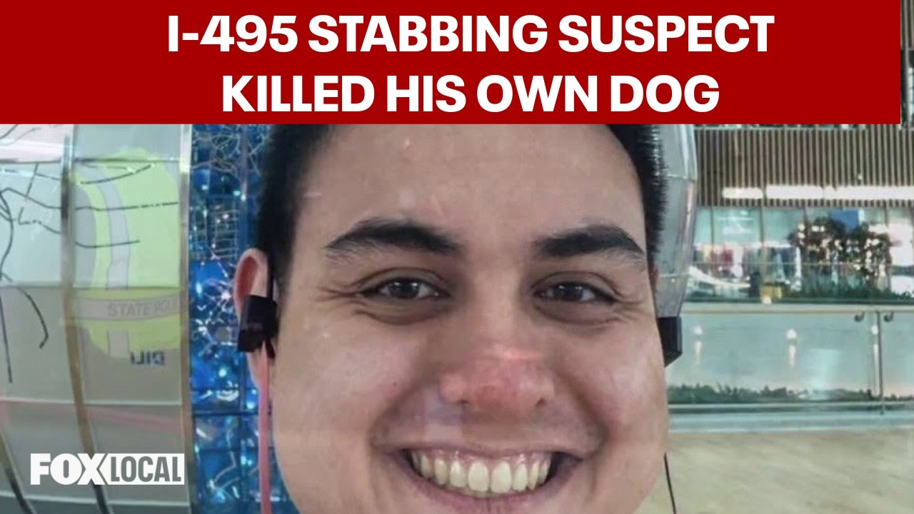 Dog killed in I-495 stabbings belonged to the suspect