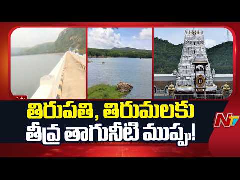 El Niño effect On Chittoor district: అడుగంటిన కళ్యాణి డ్యామ్ | Special Ground Report | NTV