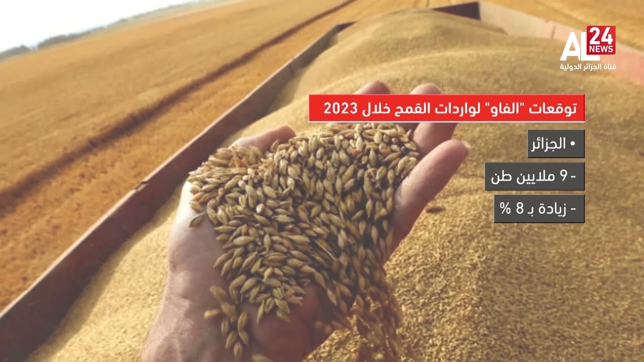 الجزائر| ''الفاو'' تتوقع ارتفاع واردات القمح إلى 9 ملايين طن في 2023