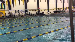 OAC 2015 200 Back finals