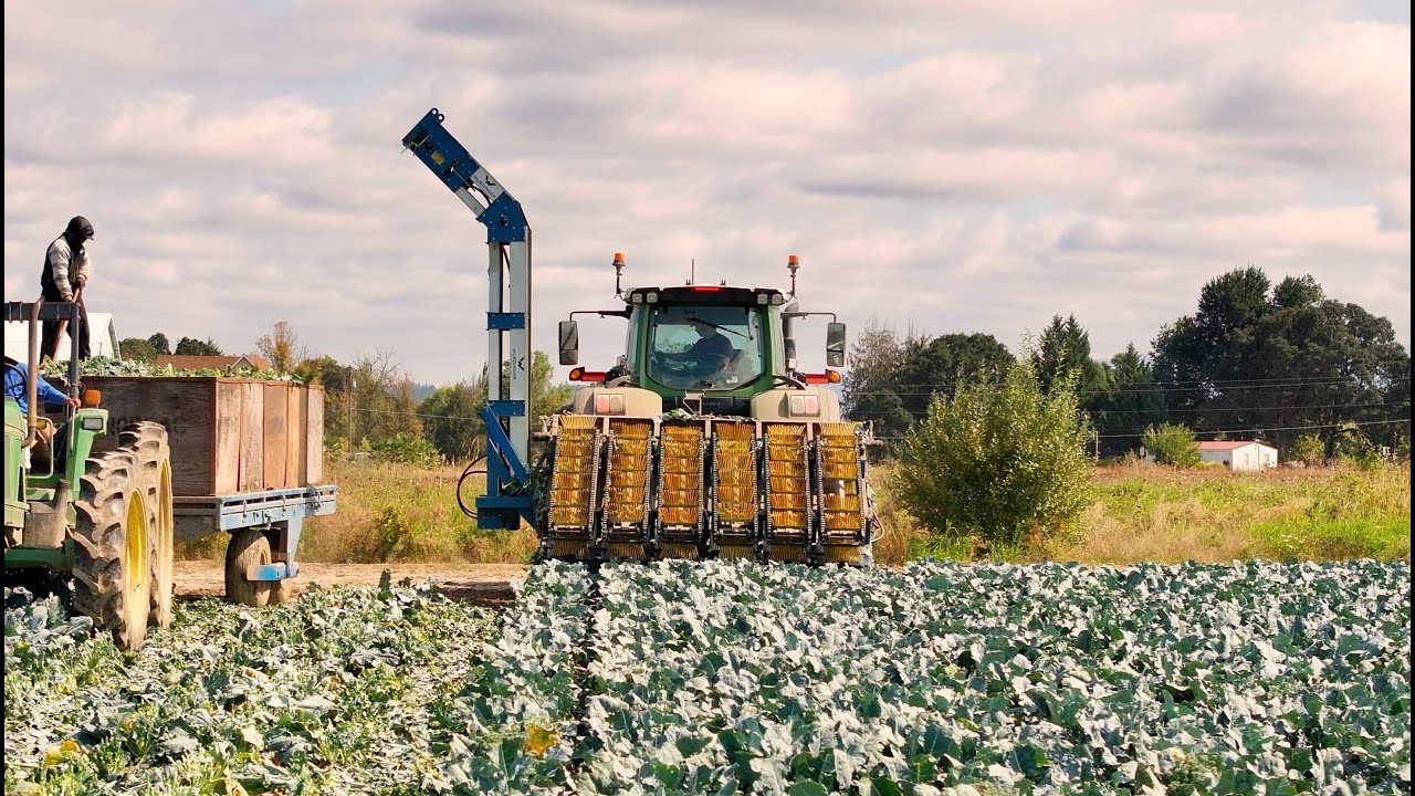 Wurdinger Manufacturing Broccoli Harvester