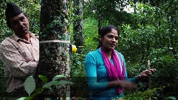 FSC and Ecosystem Services