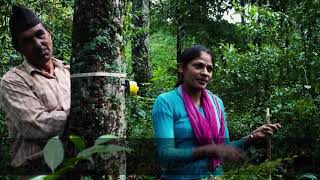 FSC and Ecosystem Services