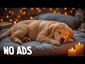 24 Hours of Deep Sleep Music for Dogs 🐶🎵Separation Anxiety Relief Music🎵💖Deep Sleep & Peaceful C