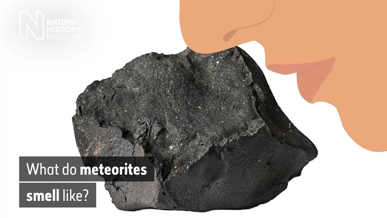 What does the Murchison meteorite smell like? | Natural History Museum (Audio Described)