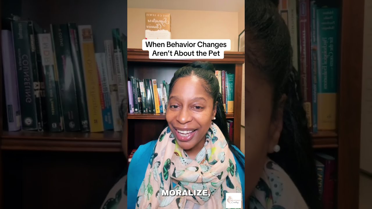 Behavioral Changes in Pets and People | Dating Discernment & Pattern Recognition