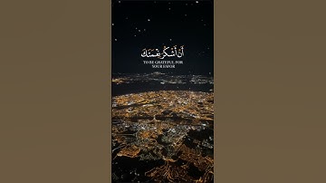 القارئ بلال دربالي 🎧 - فتبسم ضاحكا من قولها وقال رب أوزعني أن أشكر نعمتك - سورة النمل اية ١٩ #قرآن