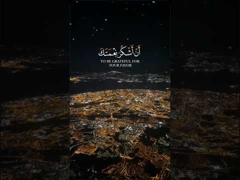 القارئ بلال دربالي فتبسم ضاحكا من قولها وقال رب أوزعني أن أشكر نعمتك سورة النمل اية ١٩ قرآن