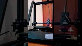 Calibración Automática Wanhao D9 300