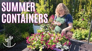 Rose-Inspired Patio Containers | Easy and Colorful Summer Recipes! screenshot 4