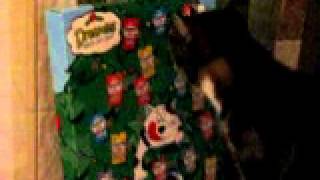 Lily Opens December 4Th