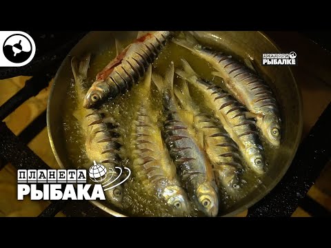 Морская рыбалка. Азербайджан | Планета рыбака