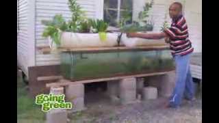 Aquaponics: What is Aquaponics?  Using Fish, Plants And  Rocks To Replicate Earths Natural Cycles