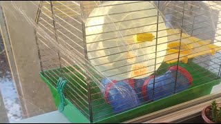 У каналі Relax відбувається прямий ефір.