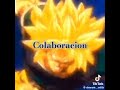 los guerreros Z#edit#dragonball#goku#vegeta#gohan#broli#anime#dragonball#🔥☠️☠️🔥