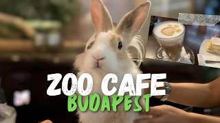 Budapest Zoo Café | A Hidden Gem for Animal Lovers ☕