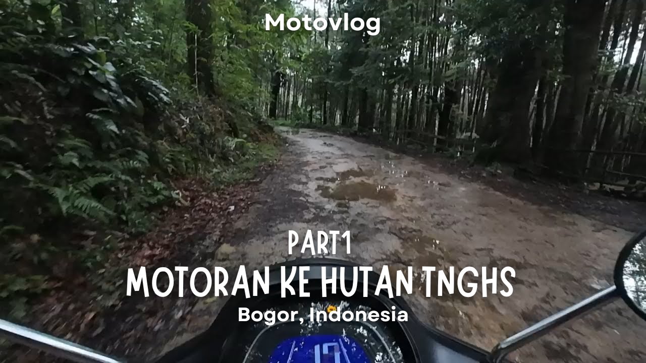 Поездка на велосипеде в национальный парк Халимун-Салак, часть 1 | Богор, Индонезия