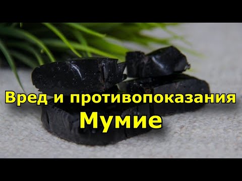 Вред и противопоказания Мумие. Что такое мумие и в чем его польза