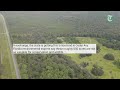 Florida could swap state forest land to a golf company. Here's how.