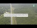 Florida could swap state forest land to a golf company. Here's how.