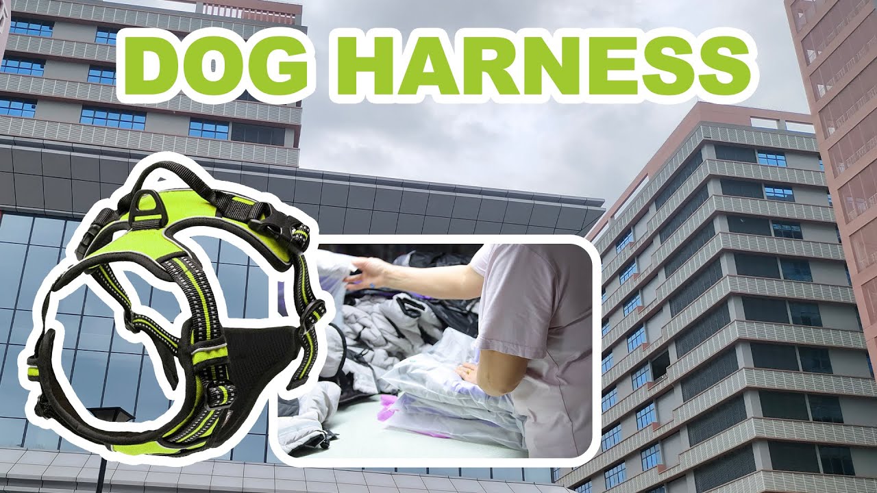 Curated visual reference: Visual Reference: Top 5 Dog Harnesses For Pulling Reviews Buyer S Guide
