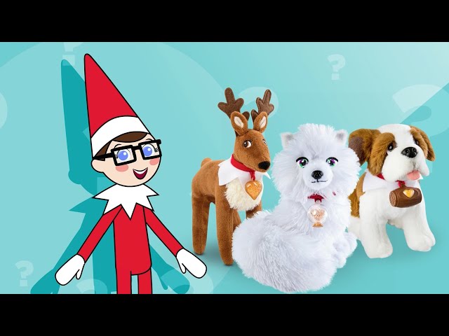 Elf Pets Basics  Did You Know? North Pole Edition 