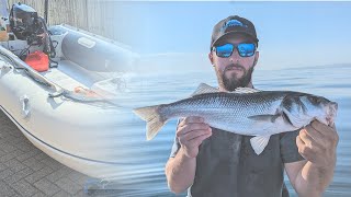 How Many Species Did We Catch on Tiny Metals? | with Matt from Prime Angling
