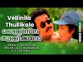 Varnapakittu malayalam movie song  vellinila thullikalo  mohanlal meena  m g sreekumar chithra