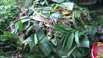 ỨNG DỤNG IMO4 - Ủ RÁC HỮU CƠ