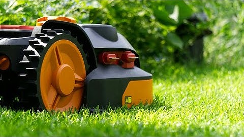 Ingenious Garden Inventions That Are At Another Level ▶3🌲