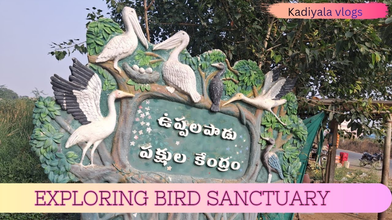 Uppalapadu Bird Sanctuary|| tourist attraction near Guntur || best visiting spot 