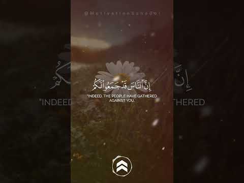 قران كريم اكسبلور شورت القرآن الكريم