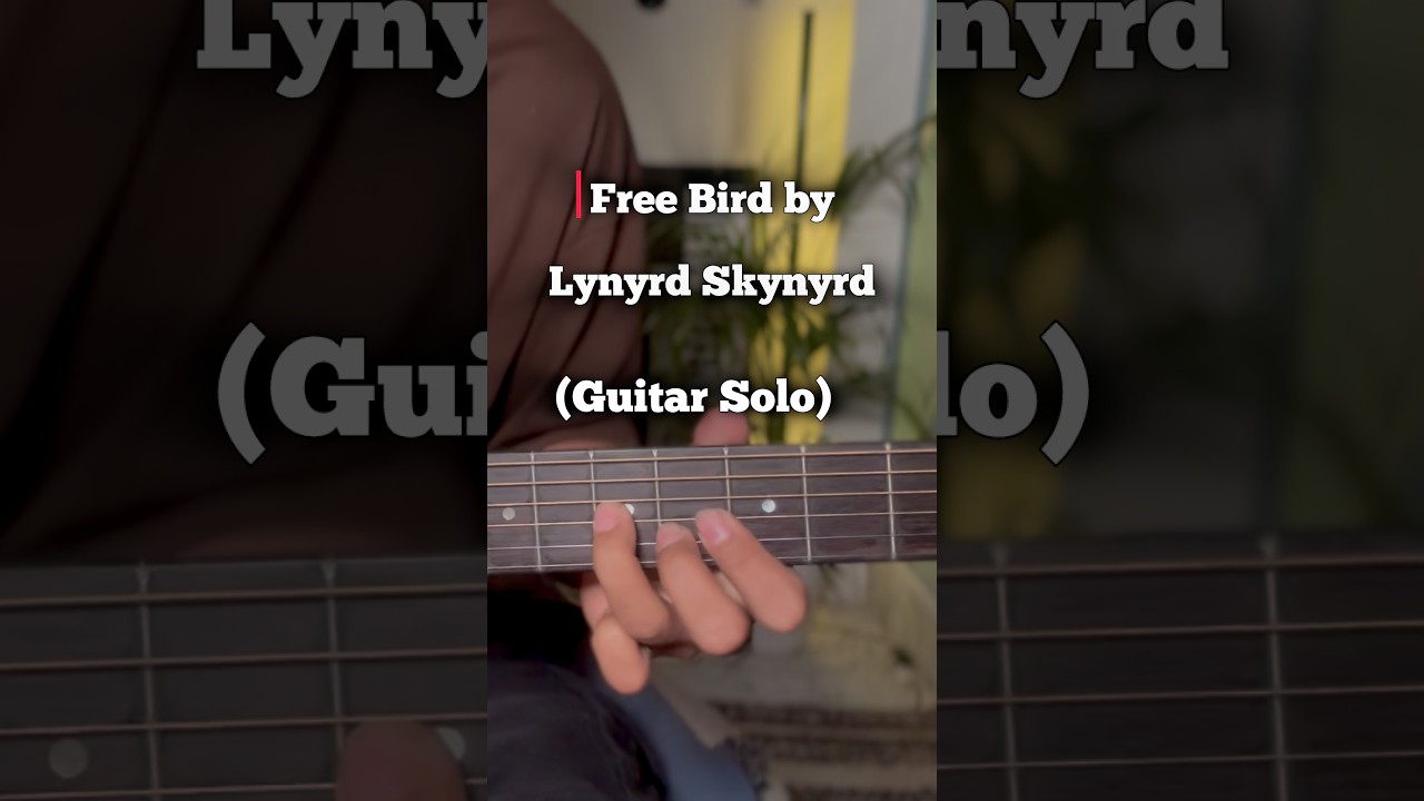 Free Bird - Lynyrd Skynyrd | Guitar Solo | (Acoustic)