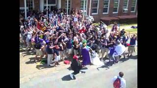 rhs harlem shake