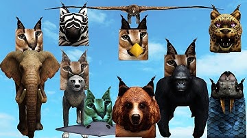 FIND the FLOPPA MORPHS *How to get ALL 9 NEW Floppa Morphs and Badges* PART 42! Roblox