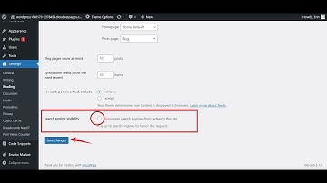 What is Discourage search engines from indexing this site | Activate Discourage search engines