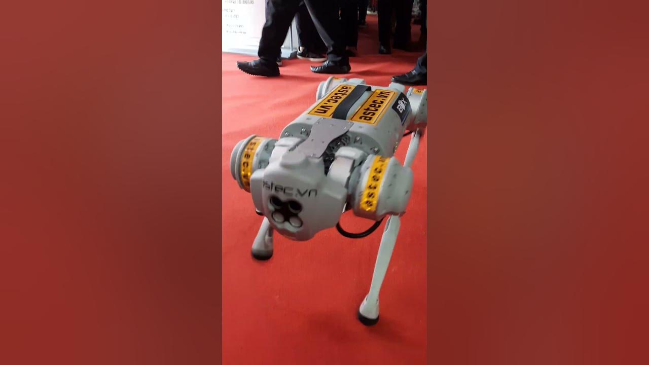 Intelligent Robot Dog YouTube