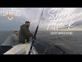 Was it a shark attack? Offshore Snapper fishing at Long Reef Sydney