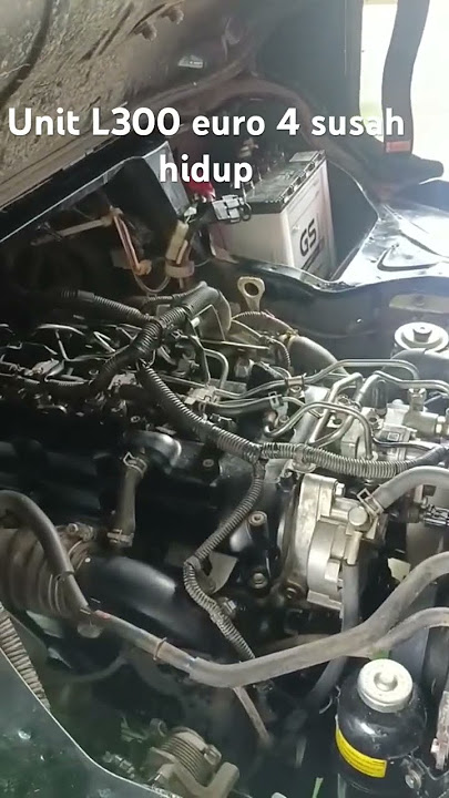 L300 euro 4 susah hidup