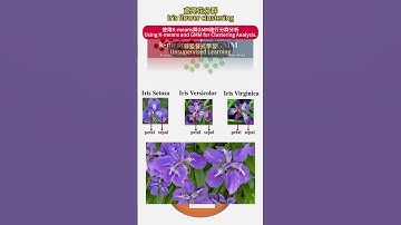 【機器學習】非監督學習 | 高斯混合模型 | K-Means | 分群 | 運用GMM和k-means對鳶尾花分群Unsupervised machine learning #greenscreen