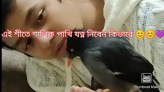 এই শীতের পাখির যত্ন নিবেন কিভাবে 😊😊😊💜💜😀