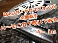 49cc(ザ・クロマニヨンズ)のハーモニカを吹いてみた