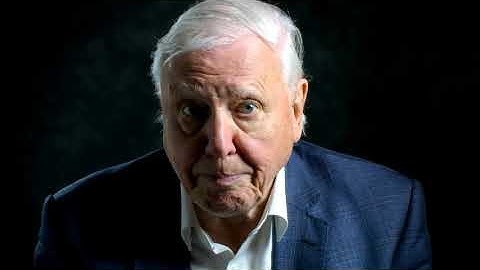 David Attenborough: A Life On Our Planet