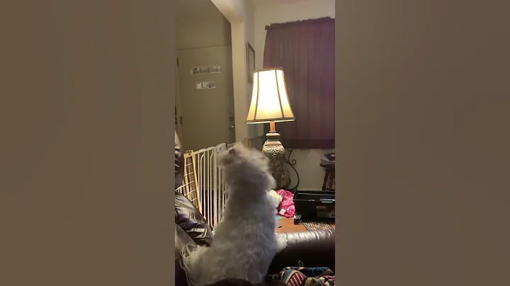 Paris loves to sing