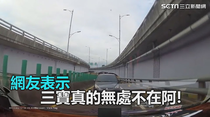 三寶揪團出遊？駕車連遇2台逆向傻眼｜三立新聞網SETN.com