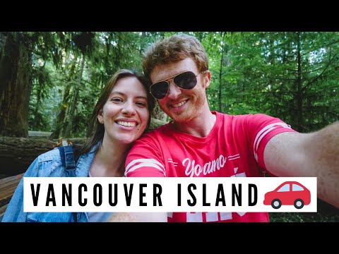Video: Shopping & Essen auf der West 4th Avenue in Vancouver, BC