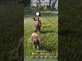 Enshrouded Game In A Nutshell #shorts